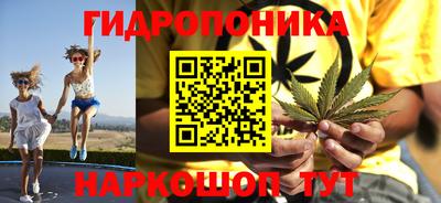 сатива Шебекино